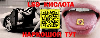 тгк Бийск