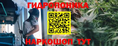 тгк Будённовск