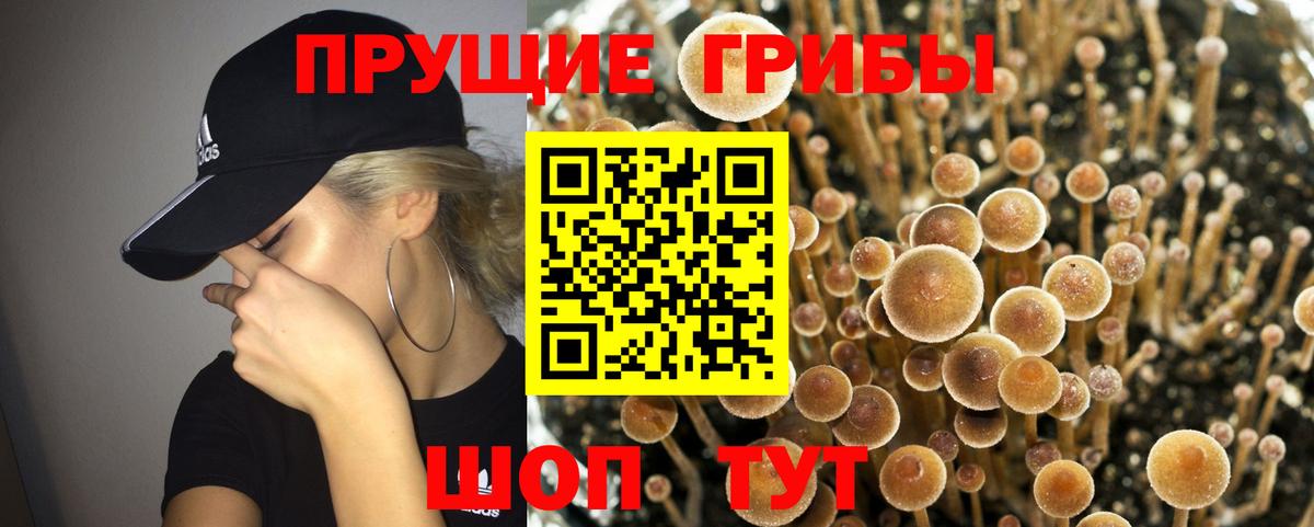 Галлюциногенные грибы MAGIC MUSHROOMS  Вход с VPN  Калуга 