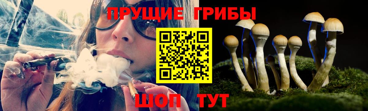 Псилоцибиновые грибы Magic Shrooms Калуга