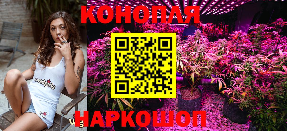 Конопля сатива  Бошки марихуана OG Kush  Калуга  Вход с VPN  МАРИХУАНА тримм  Канабис Amnesia 